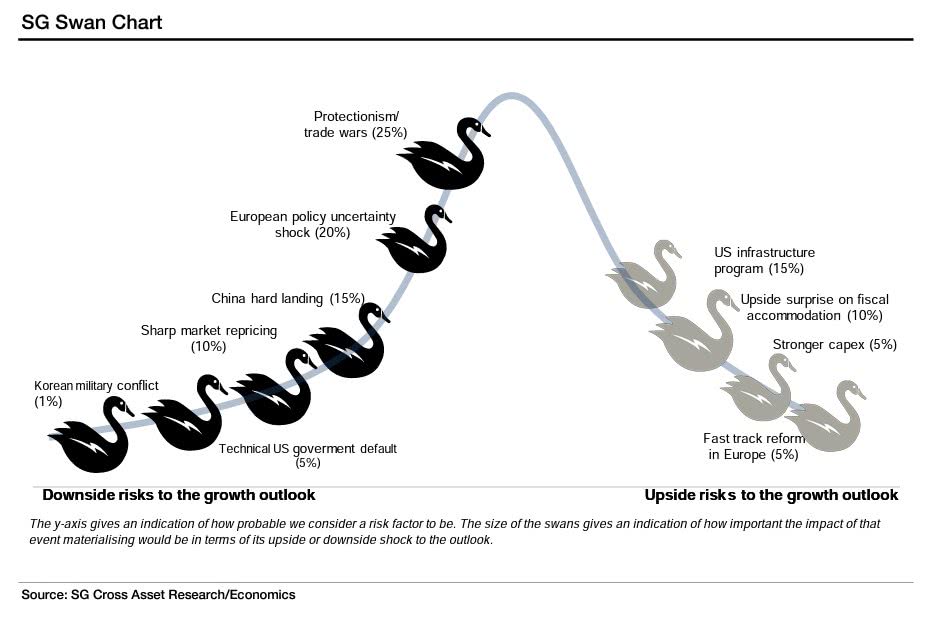 Societe Generale's Chart of Swan Risks
