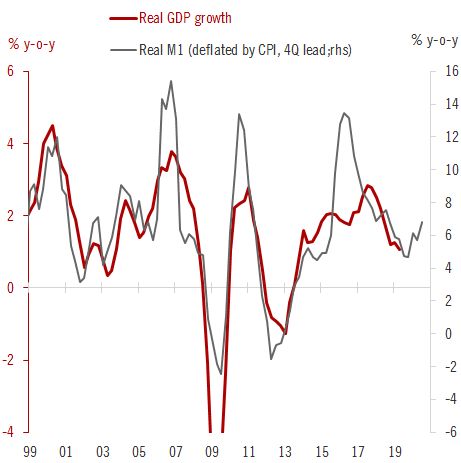 Real M1 Leads Euro Area Real GDP Growth