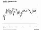 NAAIM Exposure Index