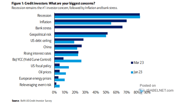 Survey - Credit Investors - What Are Your Biggest Concerns