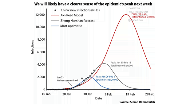 Coronavirus and Potential Scenarios