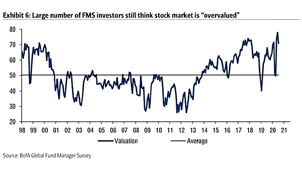 FMS Investors and Stock Market Valuation