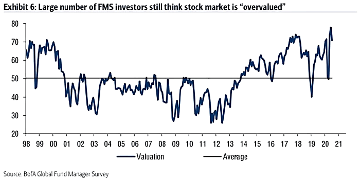 FMS Investors and Stock Market Valuation