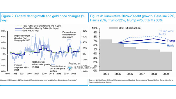 U.S. Federal Debt Growth and Gold Price