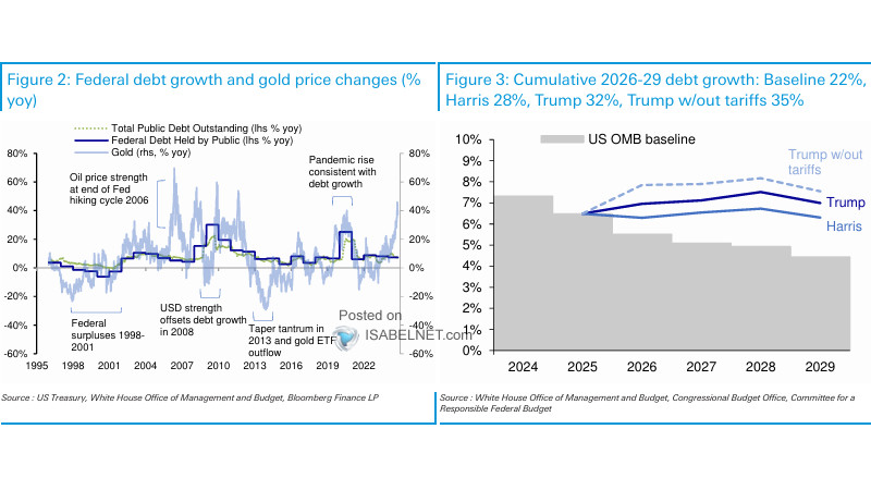 U.S. Federal Debt Growth and Gold Price