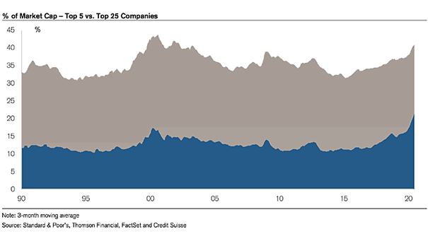 % of Market Capitalization - Top 5 vs. Top 25 Companies