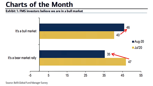 FMS Investors and Bull Market
