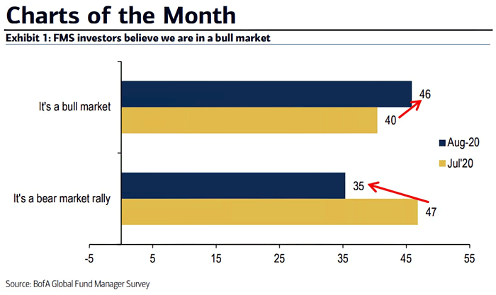 FMS Investors and Bull Market