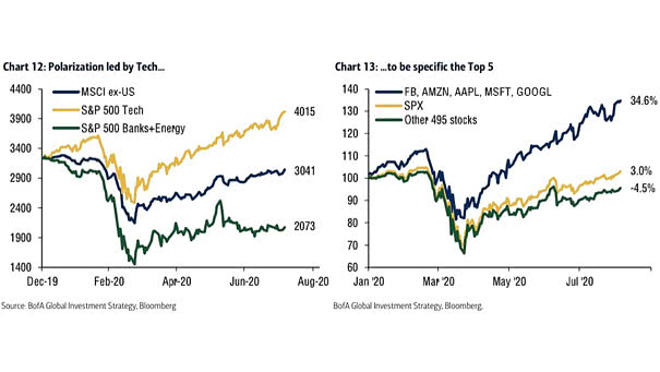 Performance - Polarization Led by Tech