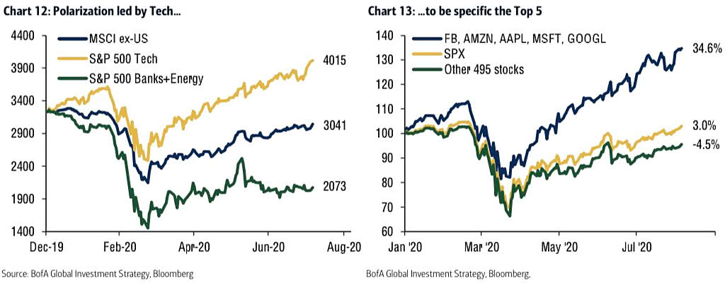 Performance - Polarization Led by Tech