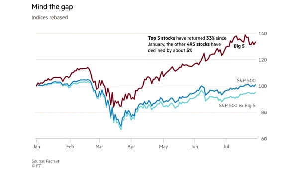 S&P 500 vs. Top 5 Stocks