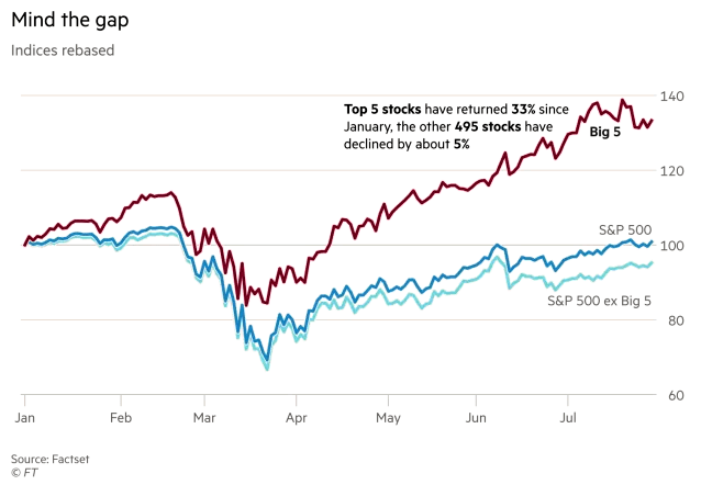S&P 500 vs. Top 5 Stocks
