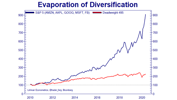 The S&P 500's Lack of Diversification - S&P 5 vs. S&P 495