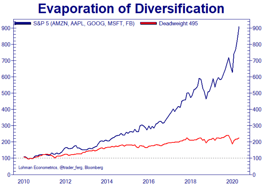 The S&P 500's Lack of Diversification - S&P 5 vs. S&P 495