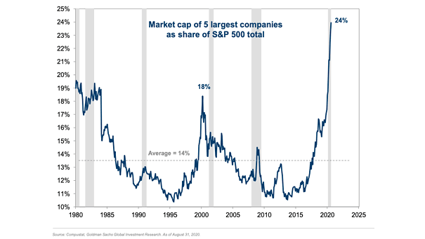 Market Capitalization - Five Largest Companies as Share of S&P 500 Total