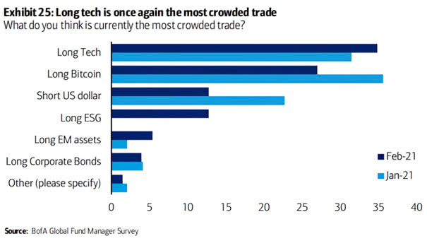Bubbles - FMS Investors and the Most Crowded Trade