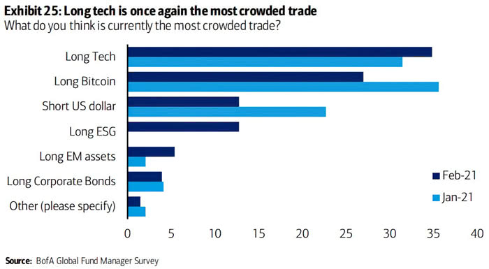Bubbles - FMS Investors and the Most Crowded Trade