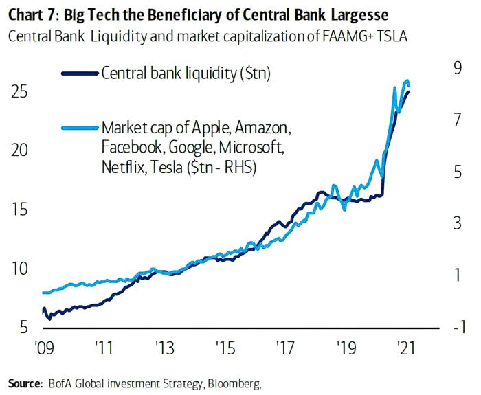 Central Bank Liquidity and Market Capitalization of Apple, Amazon, Facebook, Google, Microsoft, Netflix and Tesla