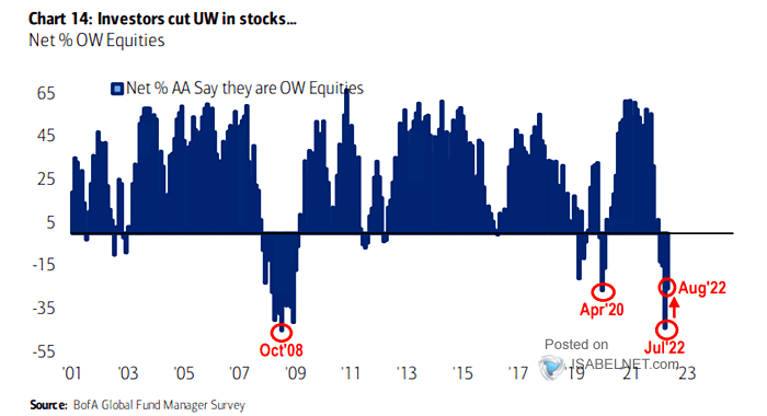 Net % OW Equities Near All-Time Highs