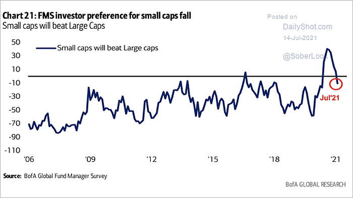 FMS Investor - Small Cap Stocks Will Beat Large Cap Stocks