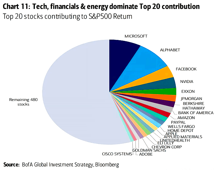 Top 20 Stocks Contributing to S&P 500 Return