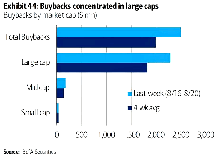 Buybacks by Market Capitalization