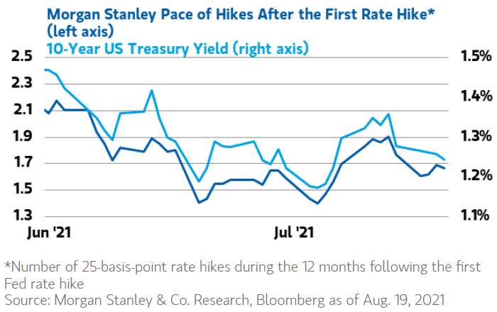 Pace of Hikes After the First Rate Hike and U.S. 10-Year Treasury Yield