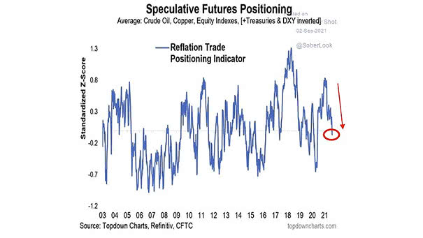 Reflation Trade Positioning Indicator