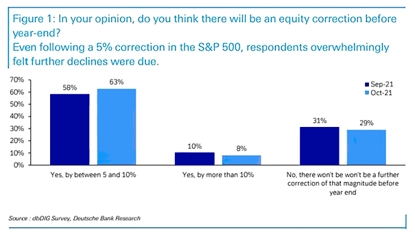 Survey - Equity Correction