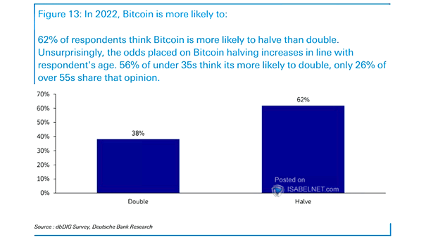Survey - Bitcoin in 2022