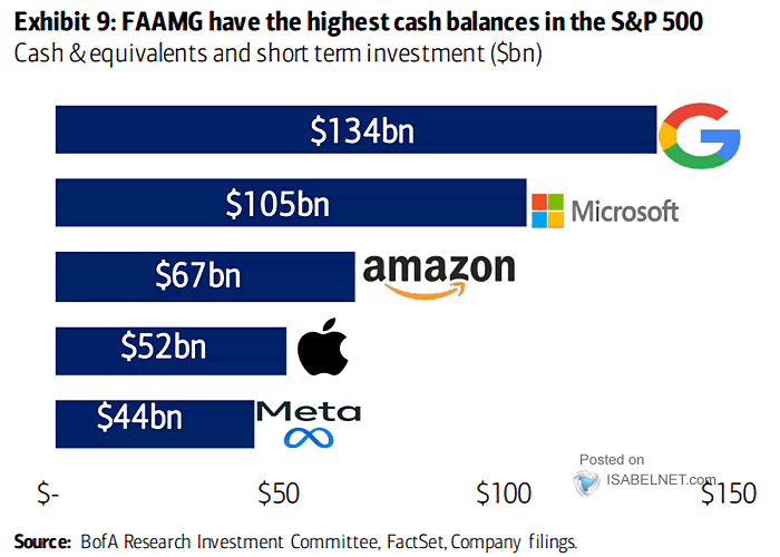 Cash & Equivalent and Short Term Investment