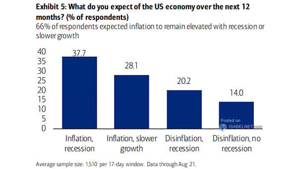 What Do You Expect of the U.S. Economy over the Next 12 Months?