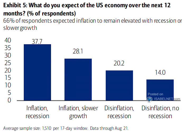 What Do You Expect of the U.S. Economy over the Next 12 Months?