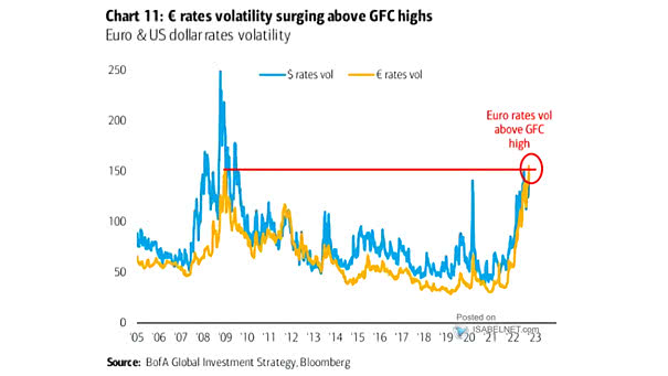 Euro and U.S. Dollar Rates Volatility