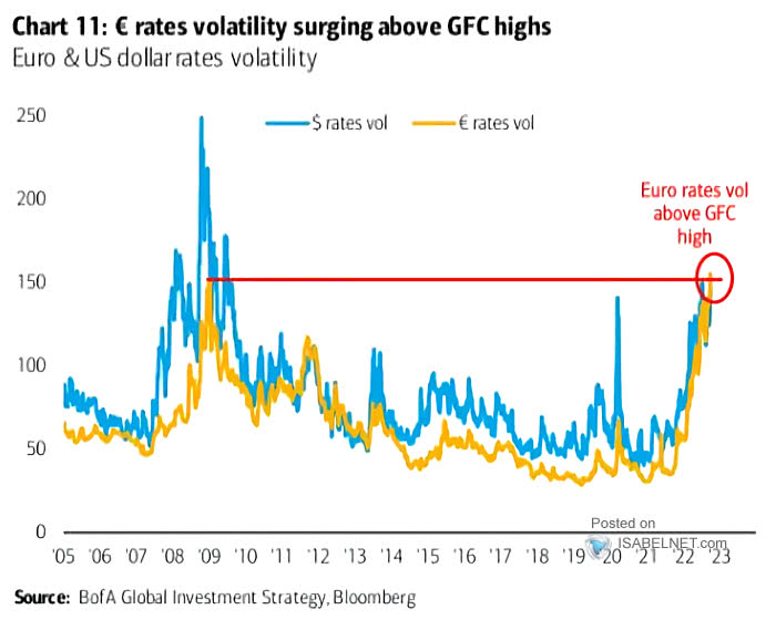 Euro and U.S. Dollar Rates Volatility