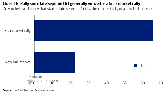 Bear Market Rally or New Bull Market?