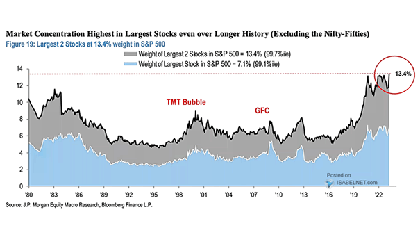 Weight of Largest Stock in S&P 500