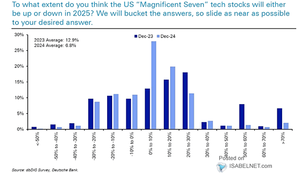 To What Extend Do You Think the U.S. "Magnificent Seven" Tech Stocks Will Either Be Up or Down in 2025?