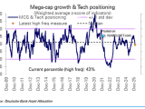 Mega-Cap Growth & Tech Positioning