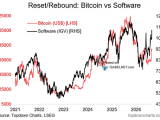 Bitcoin and Software