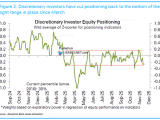 Discretionary Investor Positioning